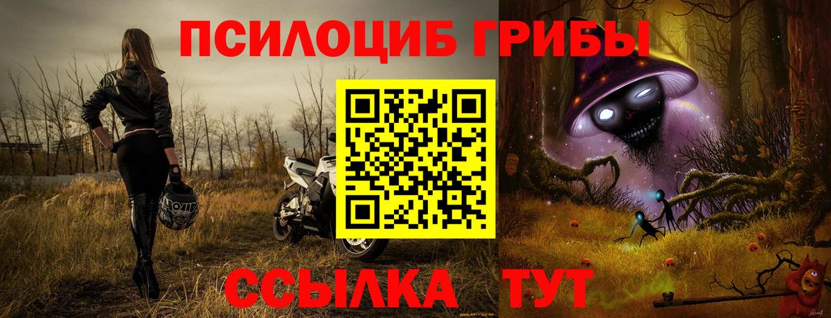 закладки  Псилоцибиновые грибы MAGIC MUSHROOMS  Вход с VPN  Псилоцибиновые грибы GOLDEN TEACHER  Гатчина 