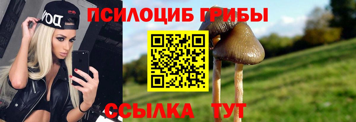 Галлюциногенные грибы GOLDEN TEACHER Гатчина